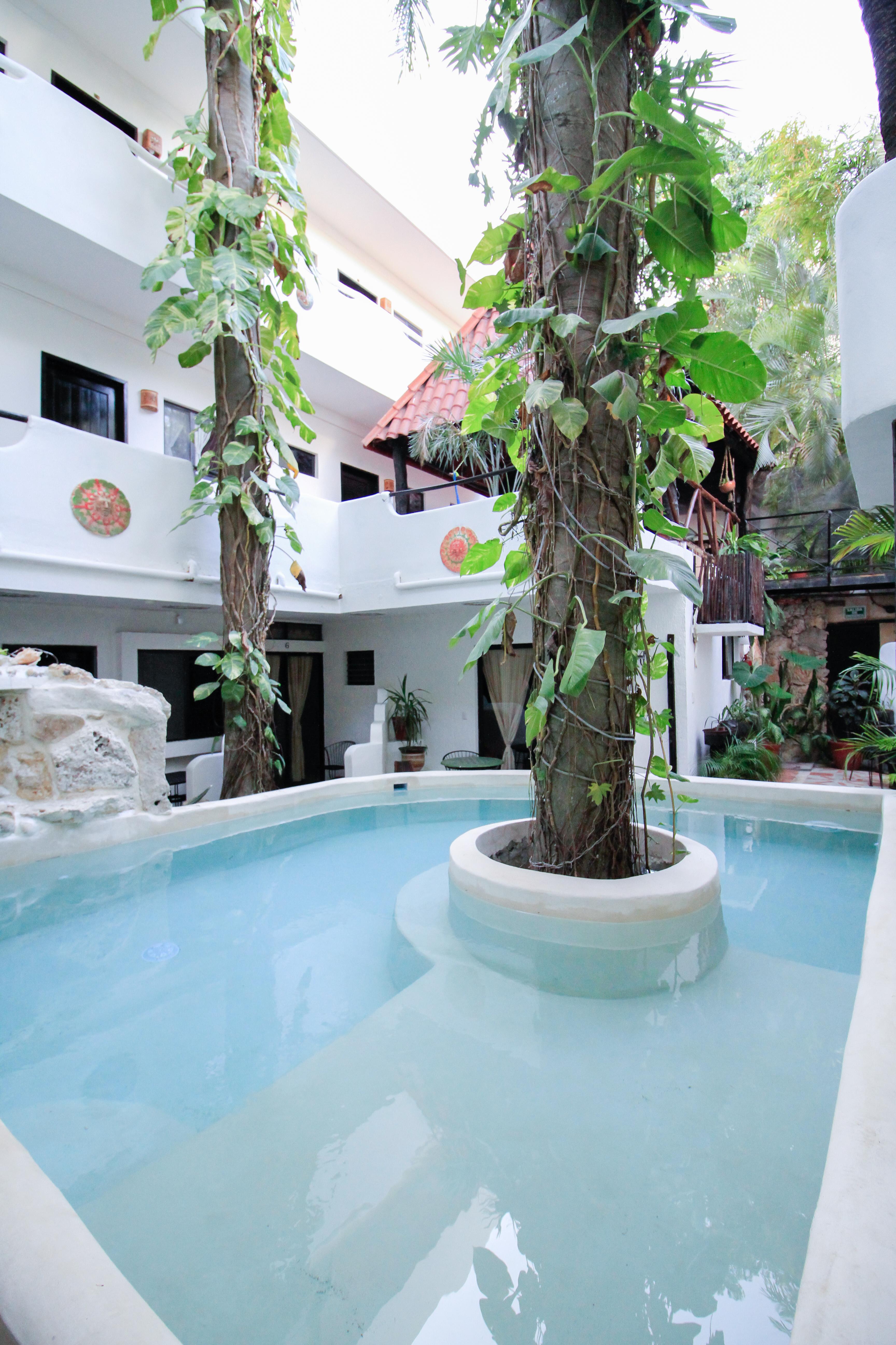 Moonshine Hotel Плайя-дель-Кармен Екстер'єр фото
