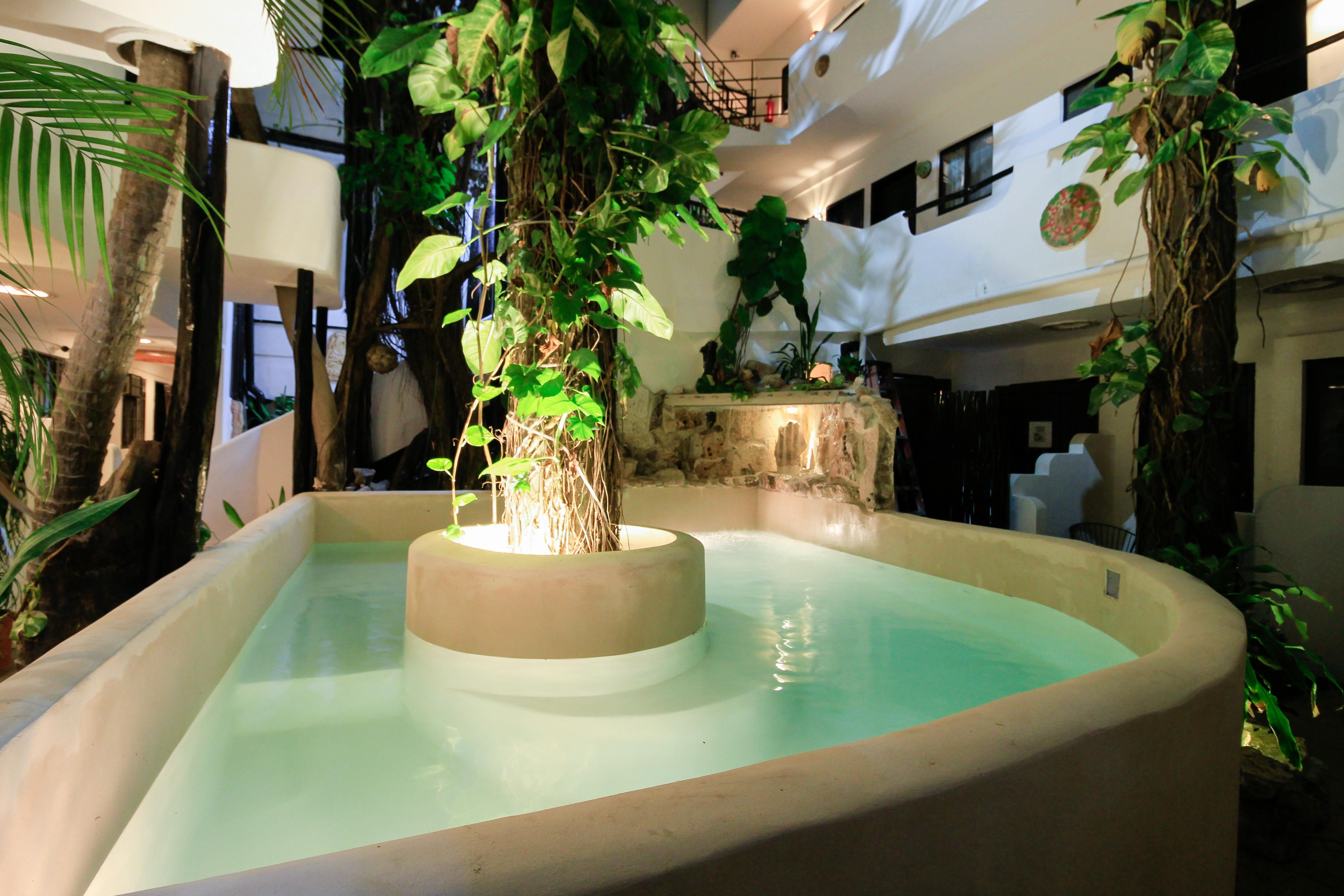 Moonshine Hotel Плайя-дель-Кармен Екстер'єр фото