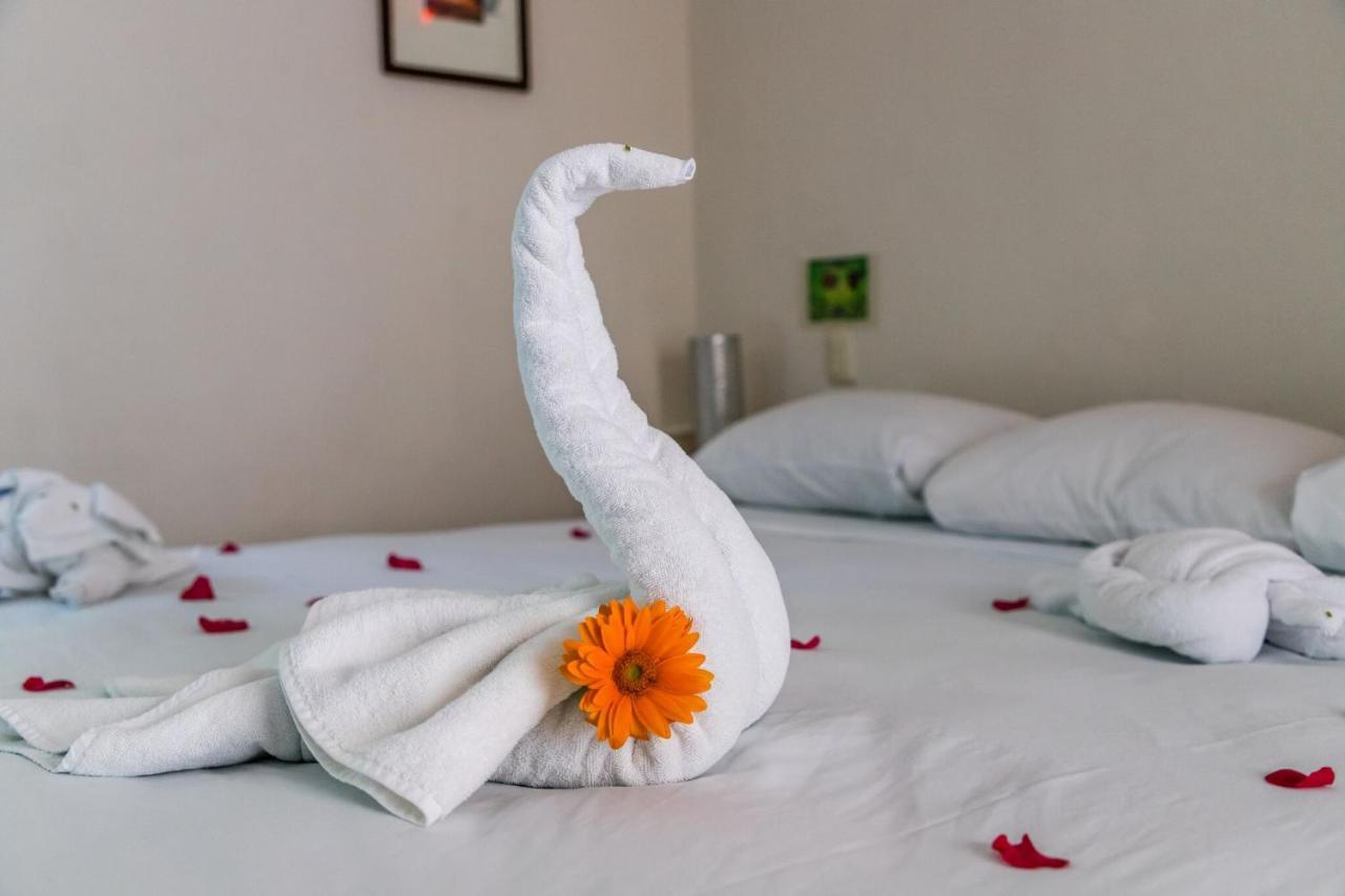Moonshine Hotel Плайя-дель-Кармен Екстер'єр фото